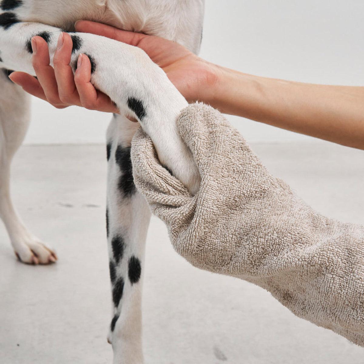 Gant de toilette pour chien - GUANTO - Kasibe