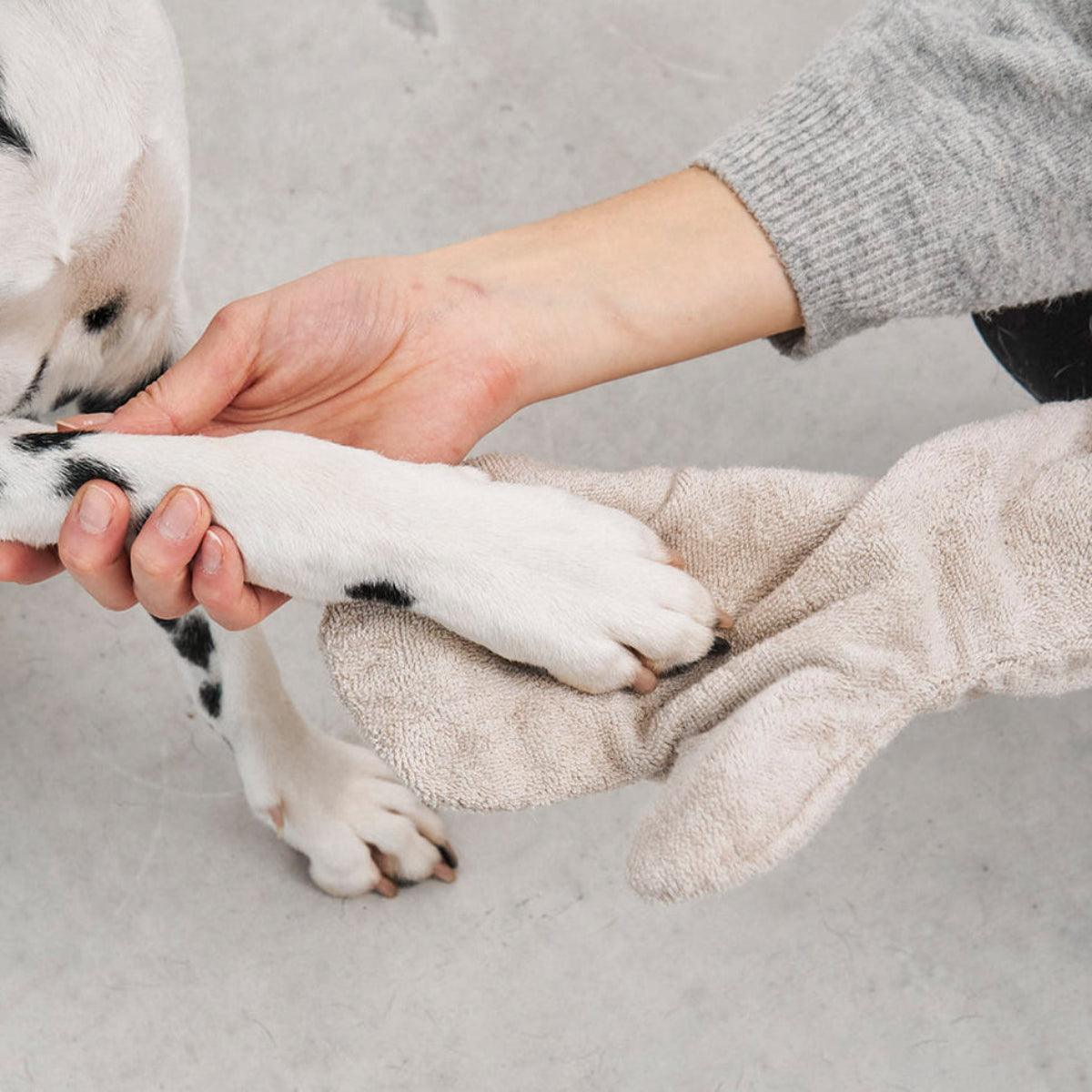 Gant de toilette pour chien - GUANTO - Kasibe