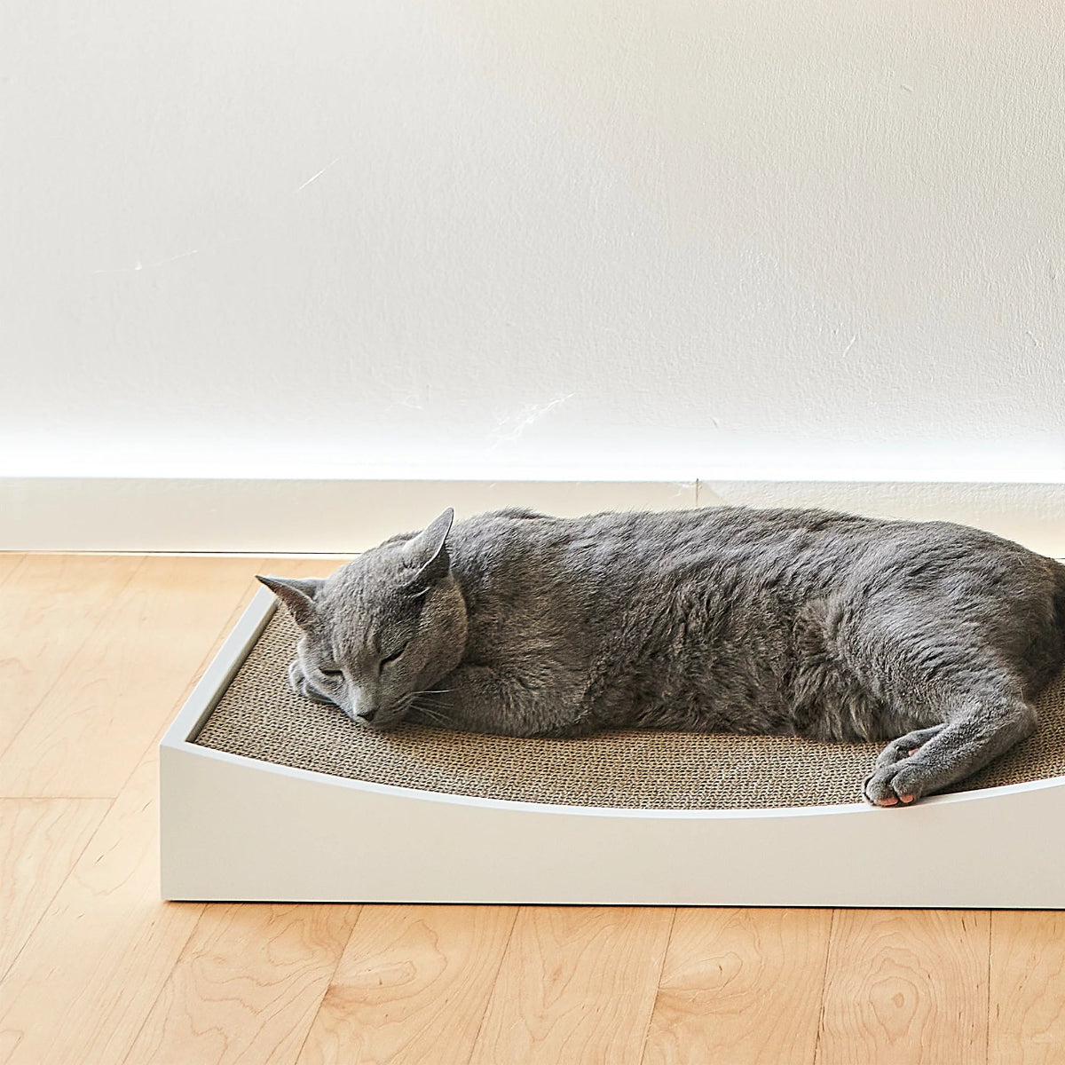 Griffoir design pour chat blanc - kasibe