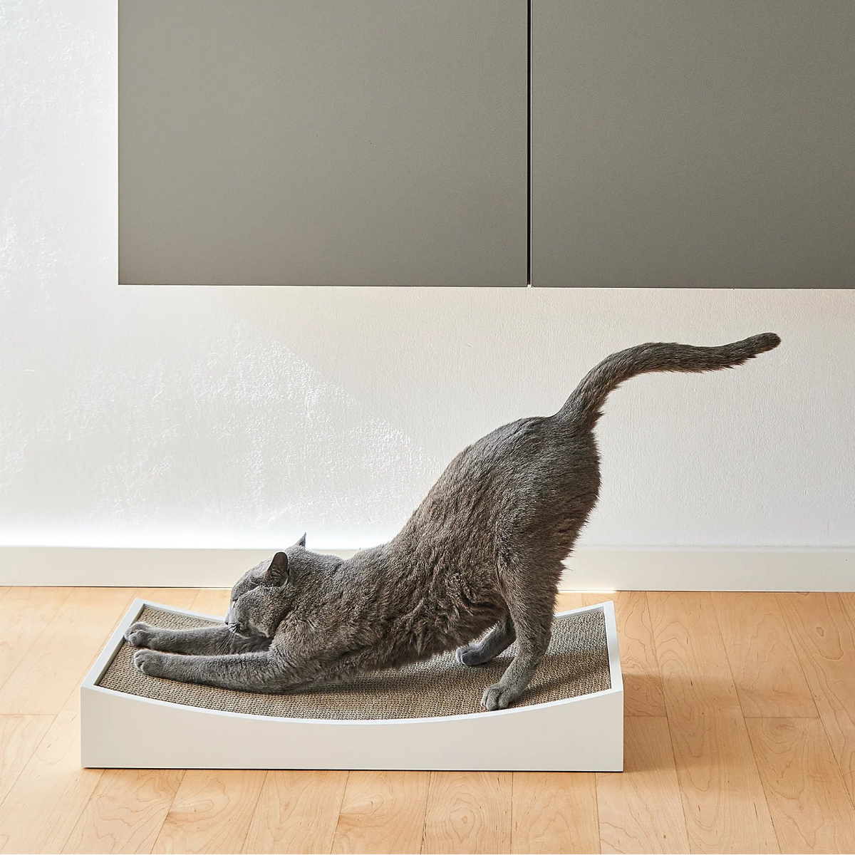 Griffoir design pour chat blanc - kasibe