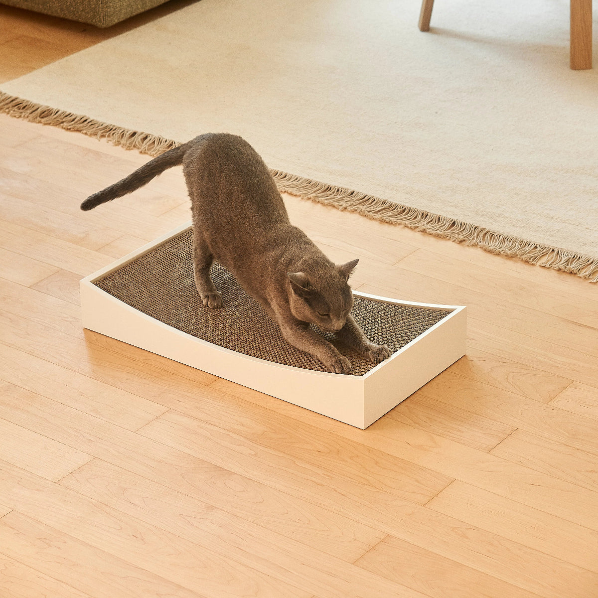 Griffoir design pour chat blanc - kasibe