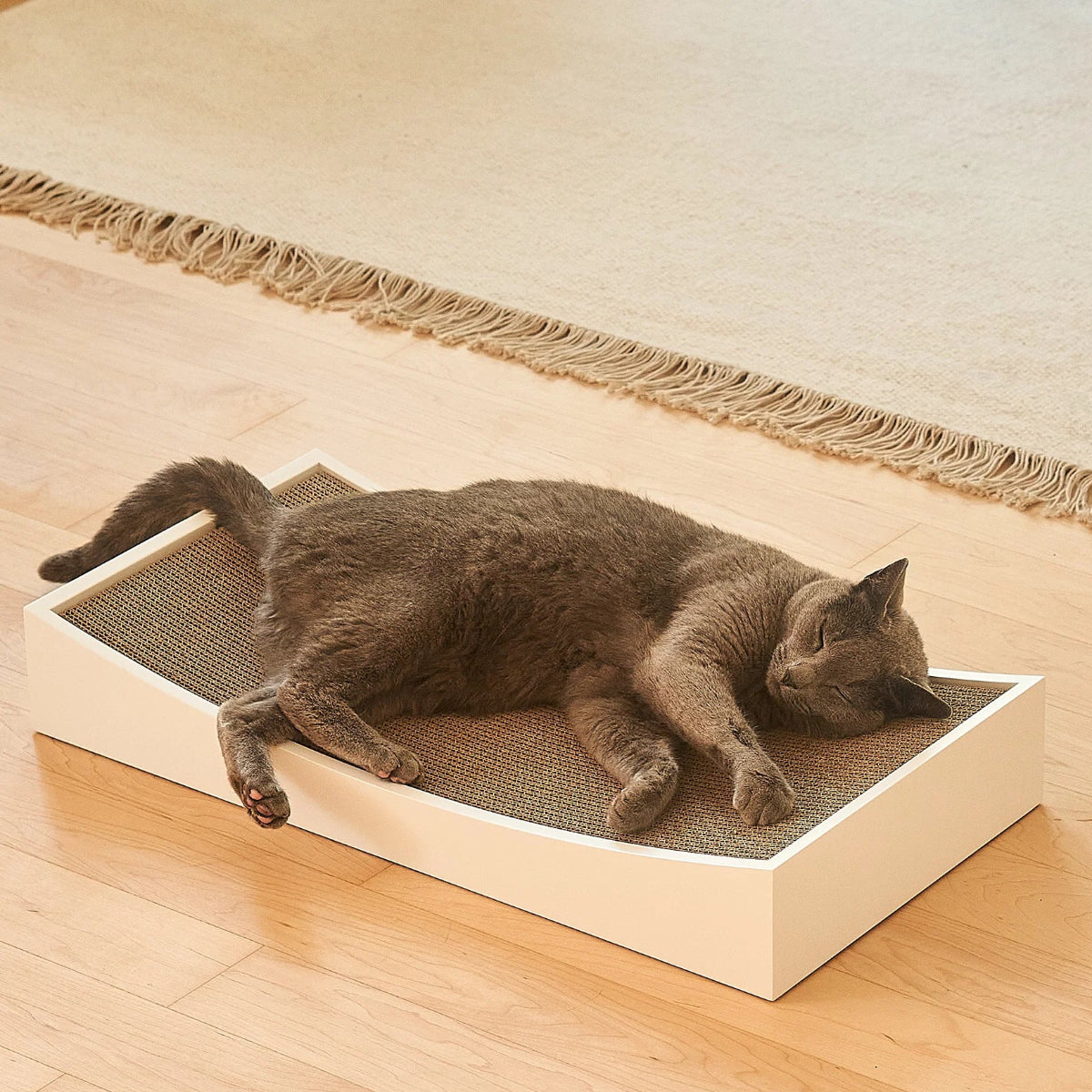 Griffoir design pour chat blanc - kasibe