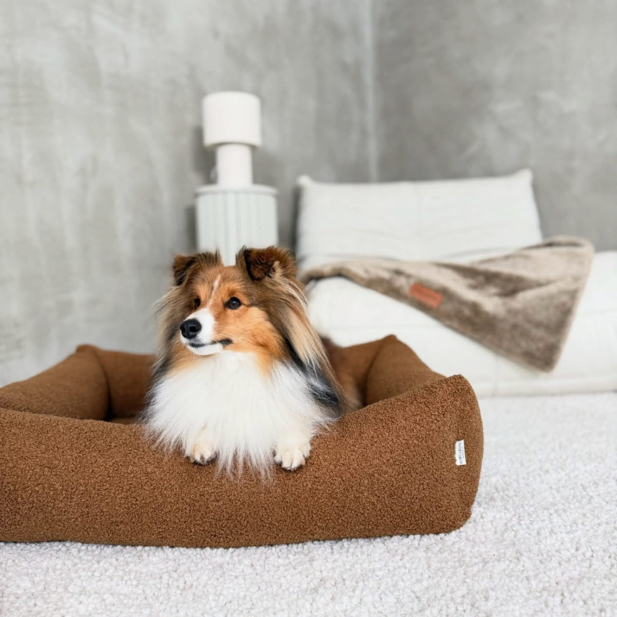 panier pour chien bouclette marron - kasibe