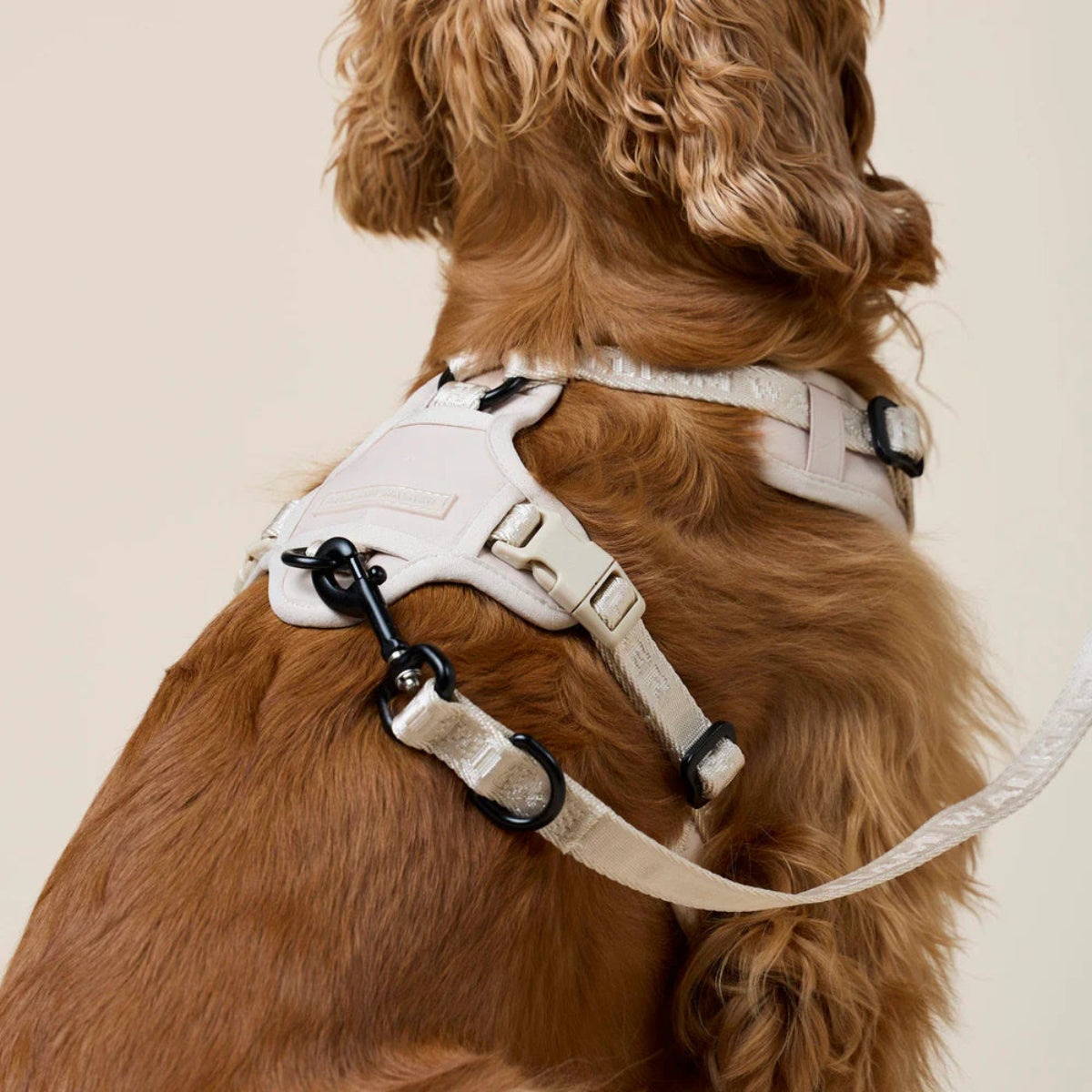 Harnais pour chien en Y en nylon beige détail côté - kasibe
