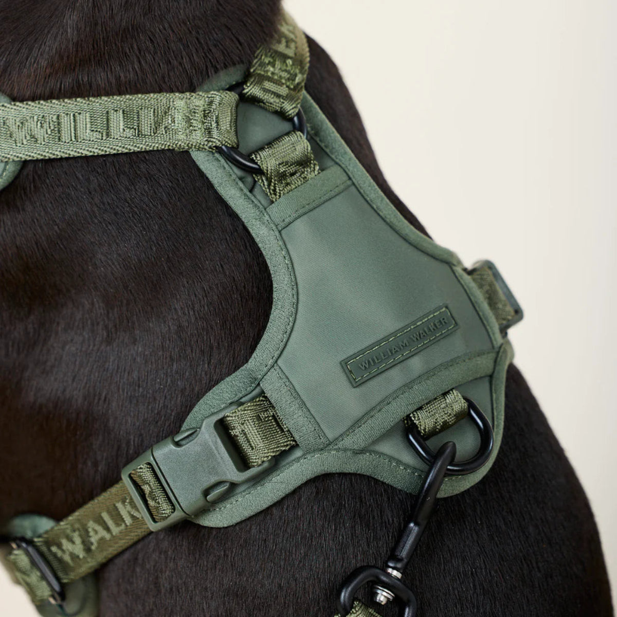 Harnais pour chien en Y en nylon vert détail dessus - kasibe
