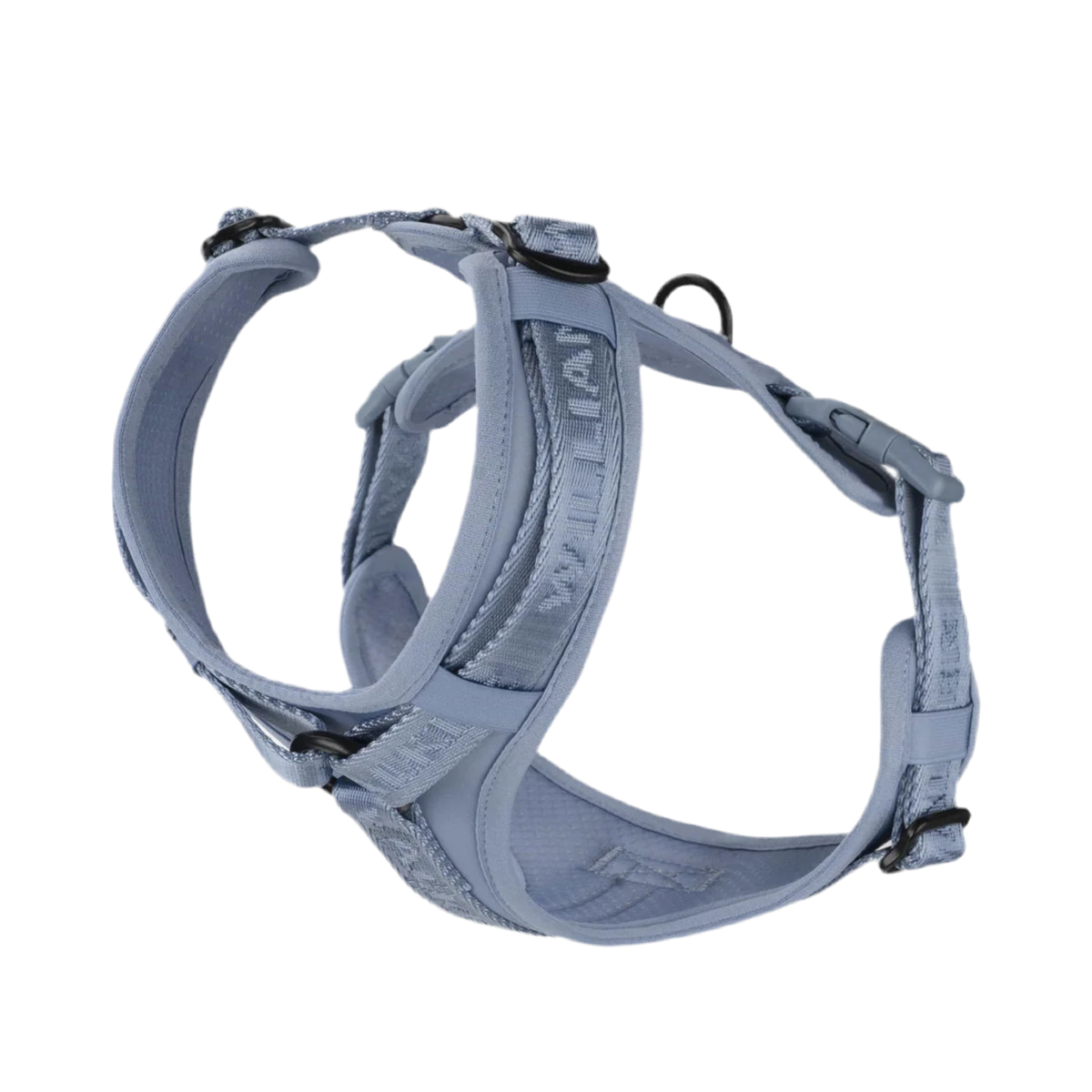 Harnais pour chien en Y en nylon bleu - kasibe