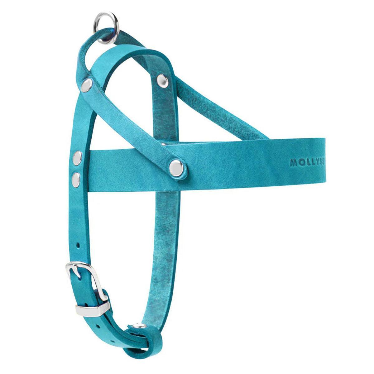 Harnais de luxe pour chien - FIDJI - Kasibe