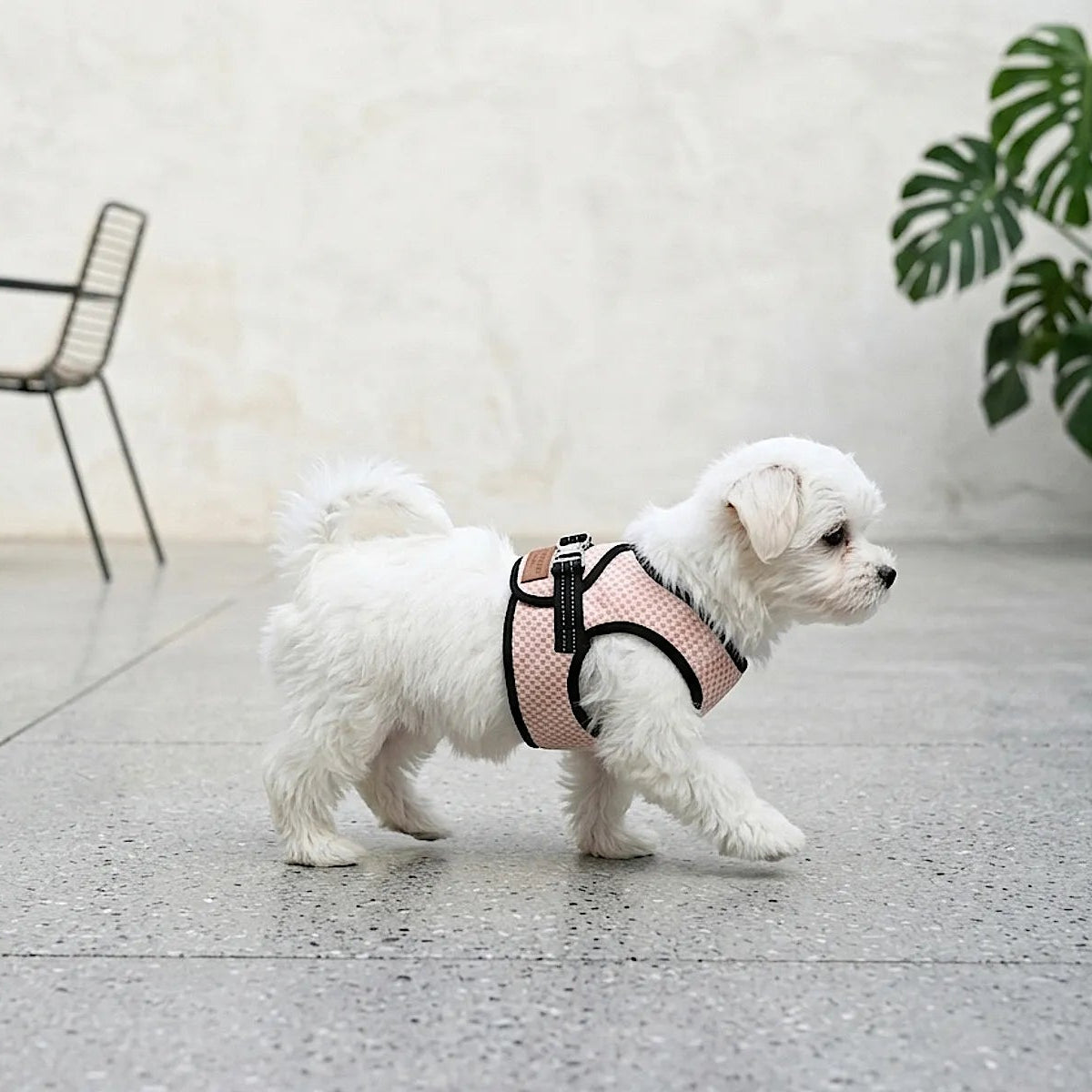 Harnais élégant pour chien rose - kasibe