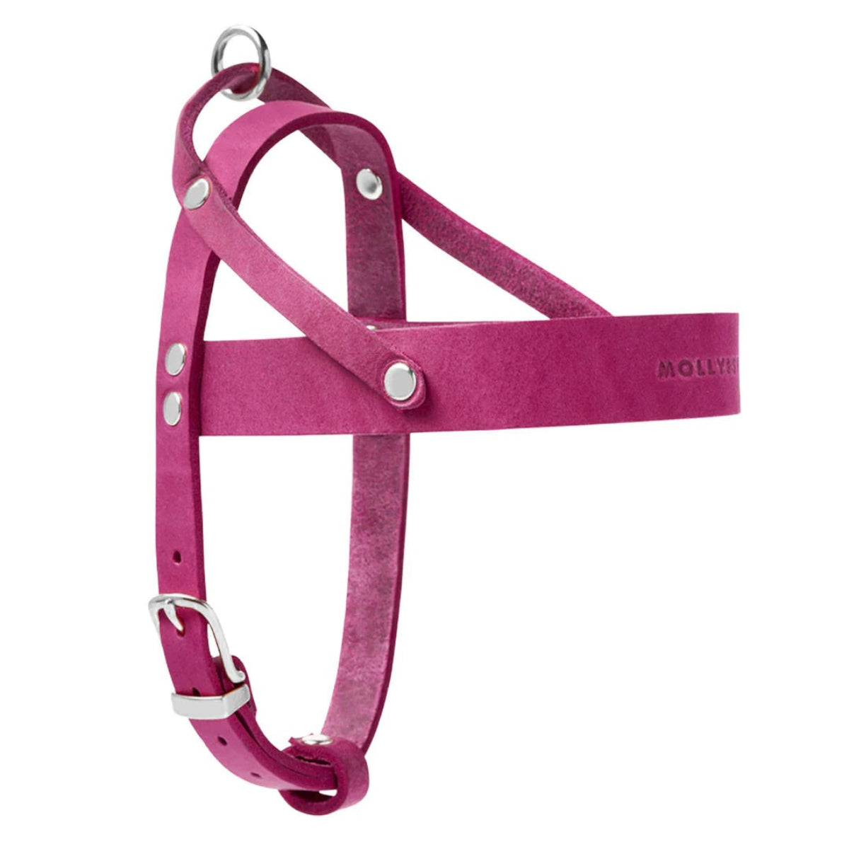 Harnais pour chien en cuir - BUTTER FLAMINGO - Kasibe