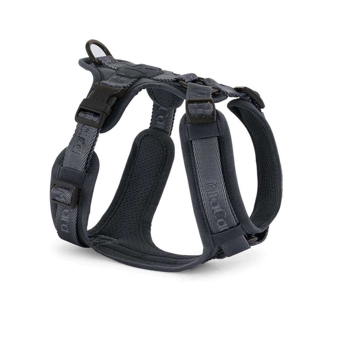 Harnais pour chien sportif - MODENA - Kasibe