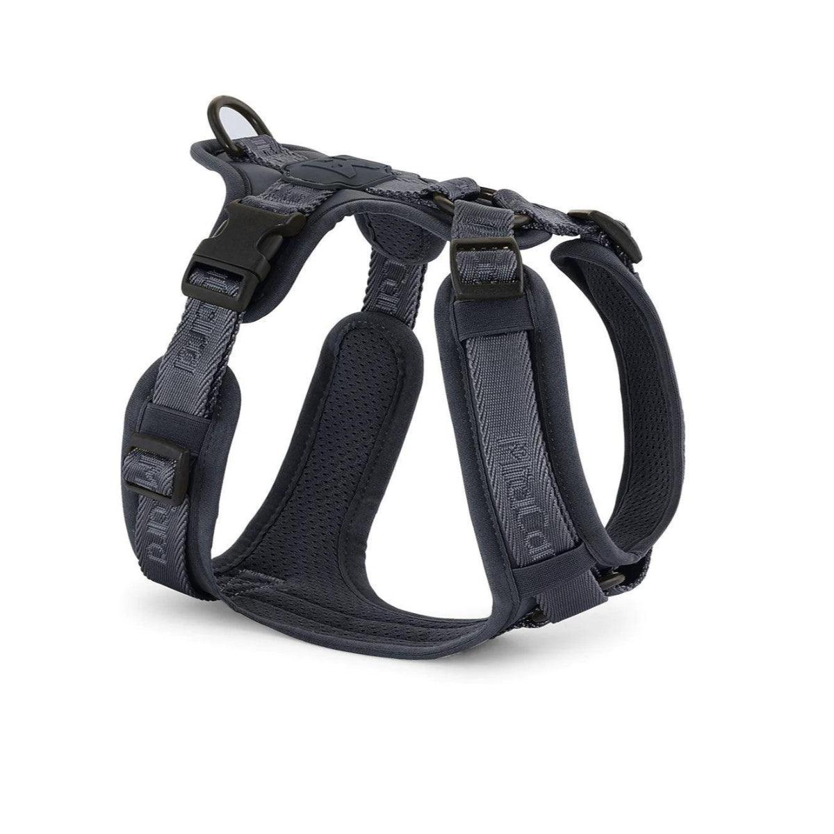 Harnais pour chien sportif - MODENA - Kasibe