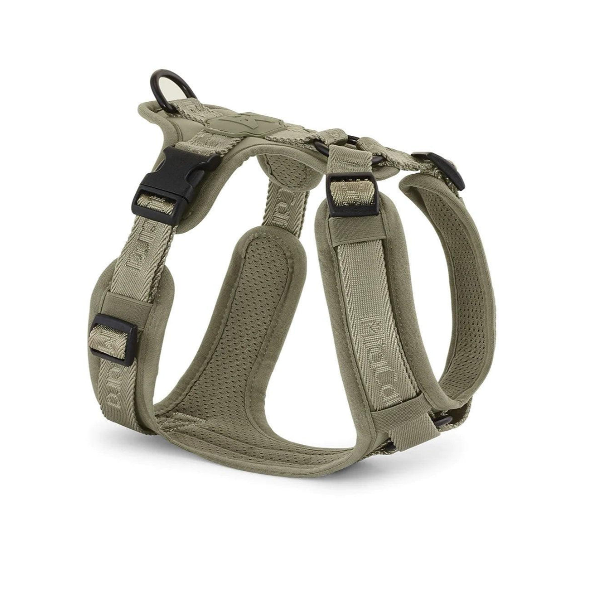 Harnais pour chien sportif - MODENA - Kasibe