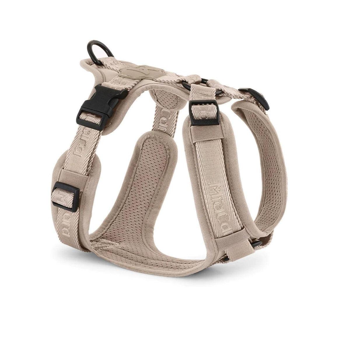 Harnais pour chien sportif - MODENA - Kasibe