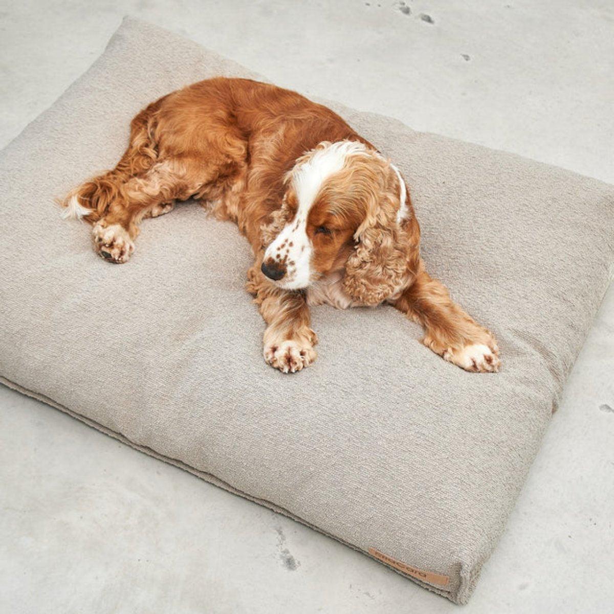 Housse de coussin pour chien design - MONDO - Kasibe