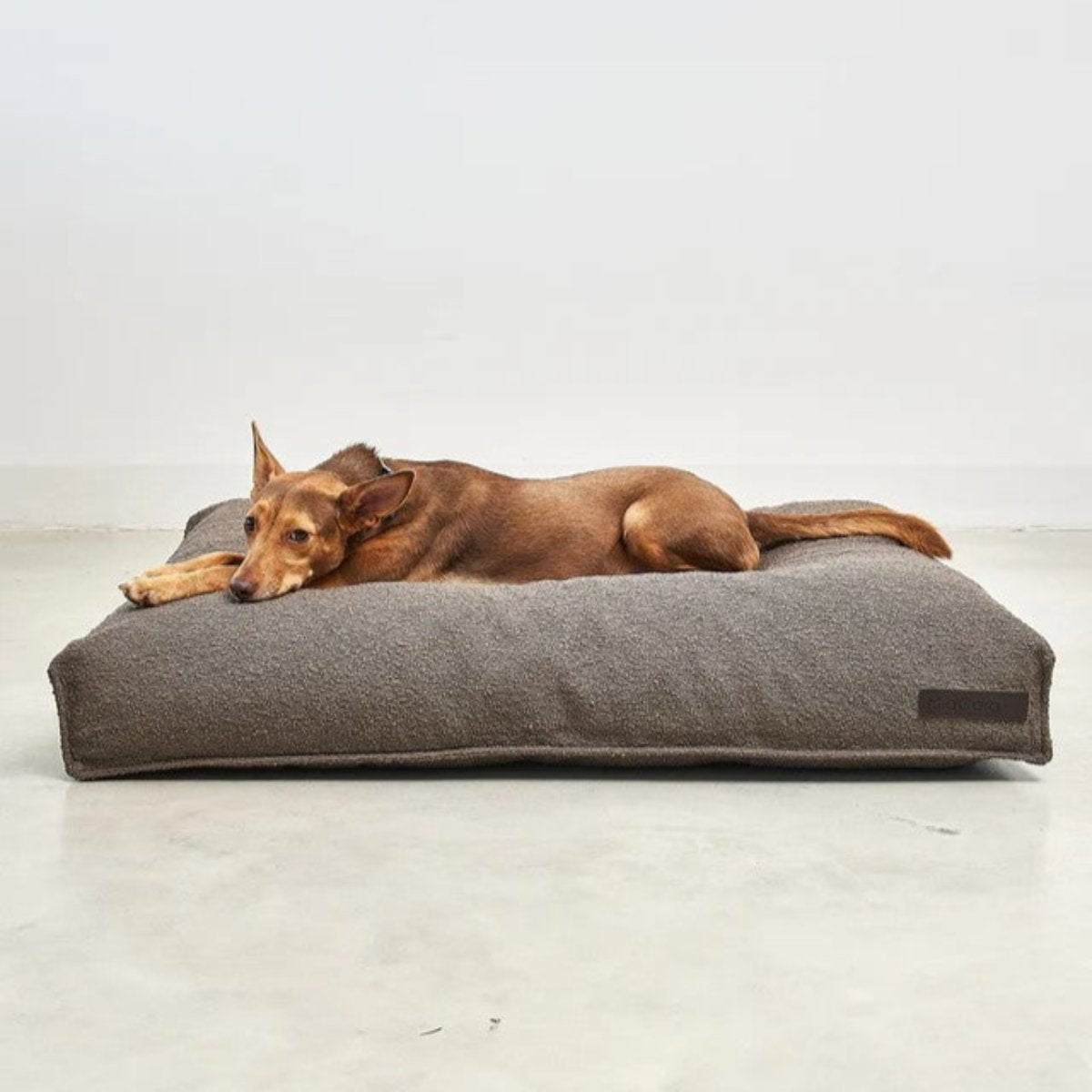 Housse de coussin pour chien design - MONDO - Kasibe