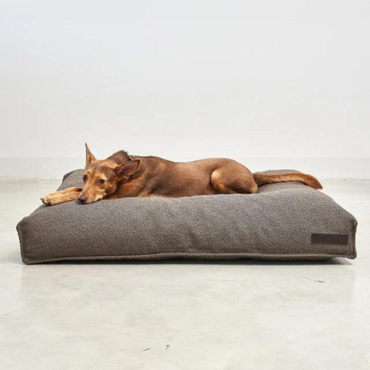 Housse de coussin pour chien design - MONDO - Kasibe
