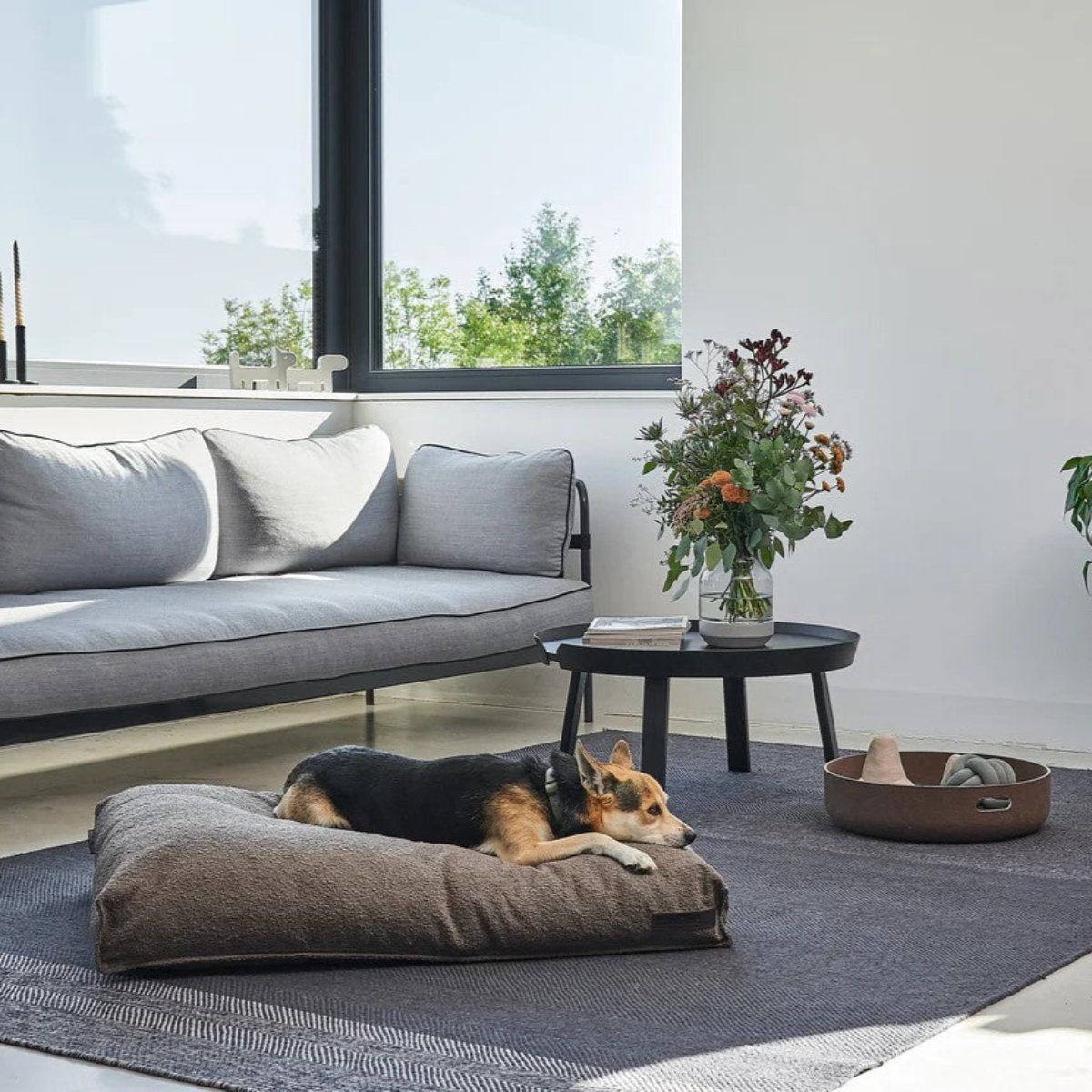 Housse de coussin pour chien design - MONDO - Kasibe