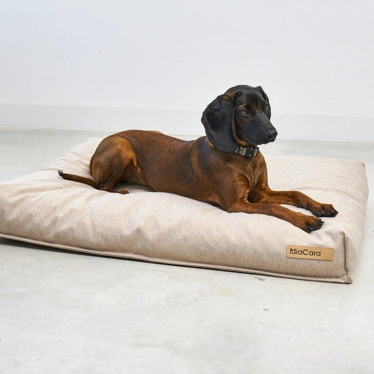 Housse de coussin pour chien en laine - CALMA - Kasibe
