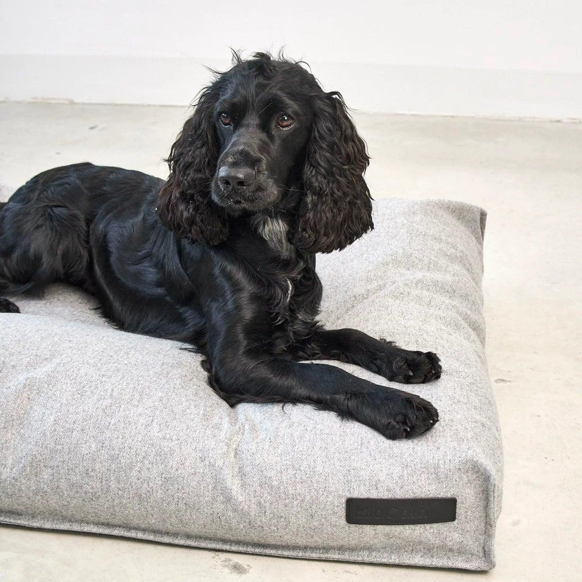 Housse de coussin pour chien en laine - CALMA - Kasibe