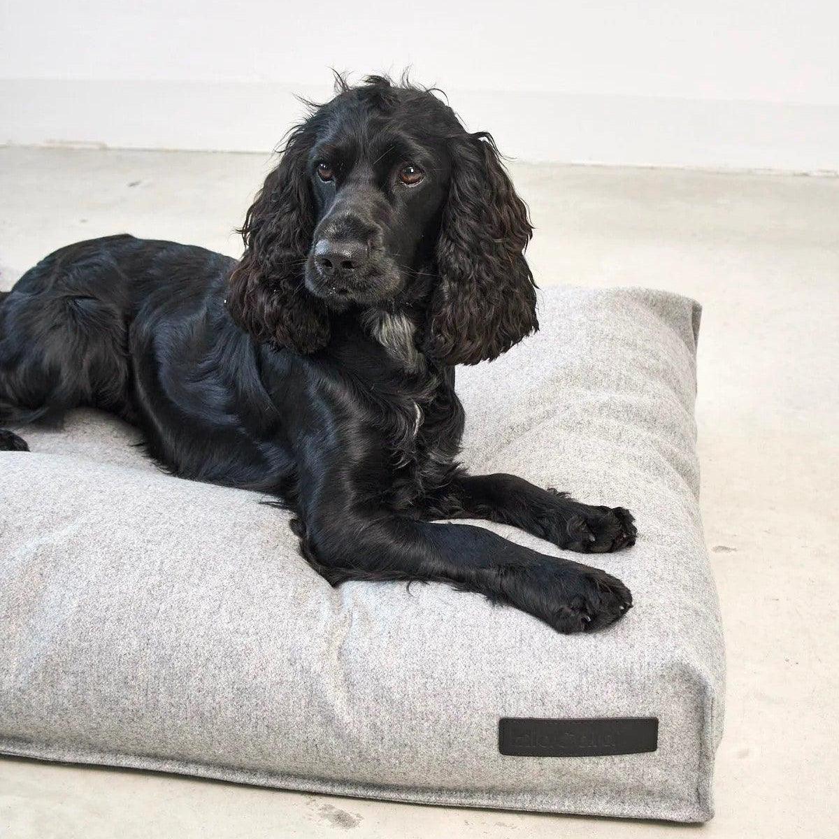 Housse de coussin pour chien en laine - CALMA - Kasibe