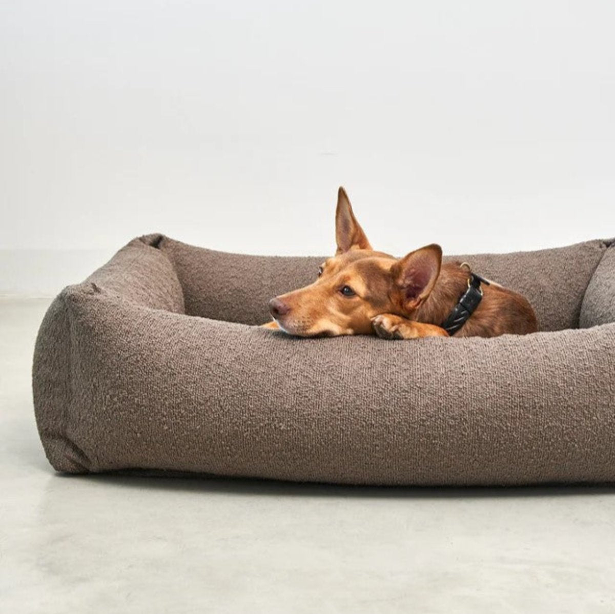 Housse de lit pour chien - MONDO - Kasibe