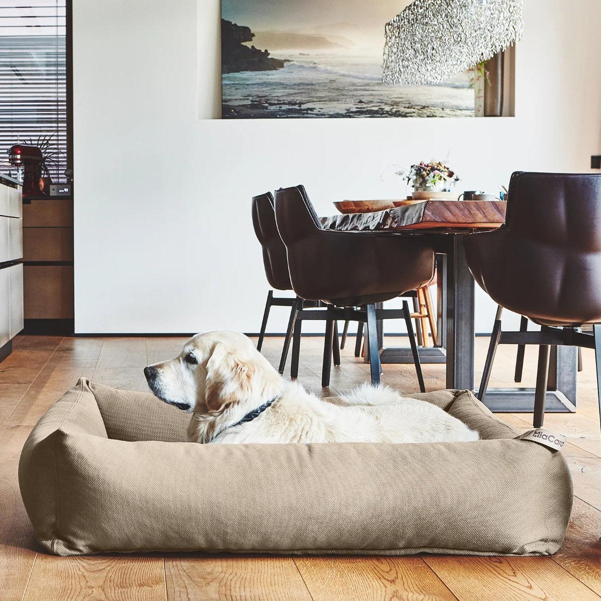 Housse de panier pour chien lavable - SONNO - Kasibe