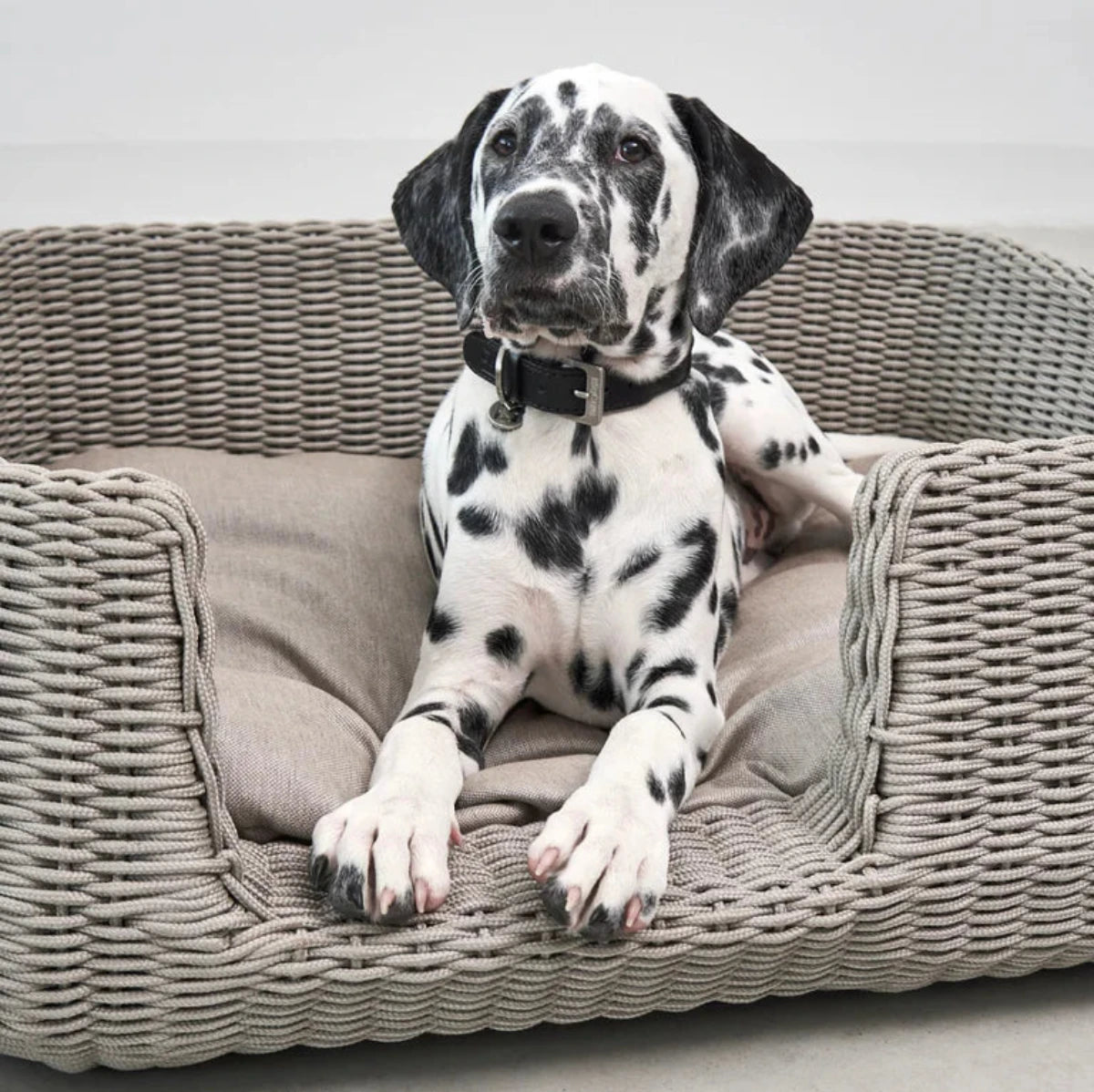 Housse imperméable de panier pour chien - MIO - Kasibe