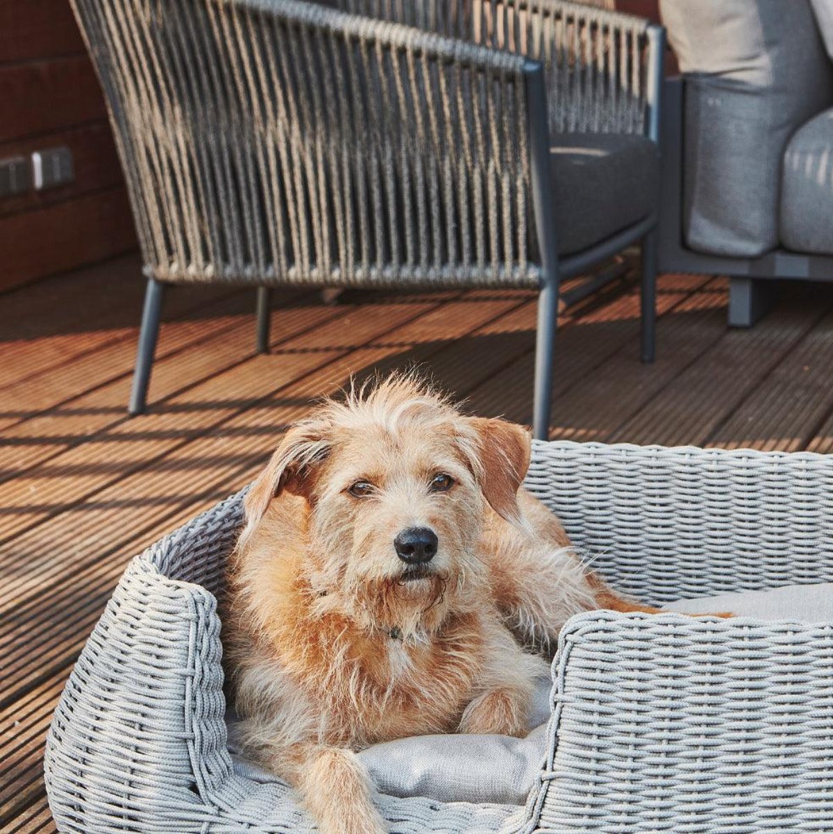 Housse imperméable de panier pour chien - MIO - Kasibe