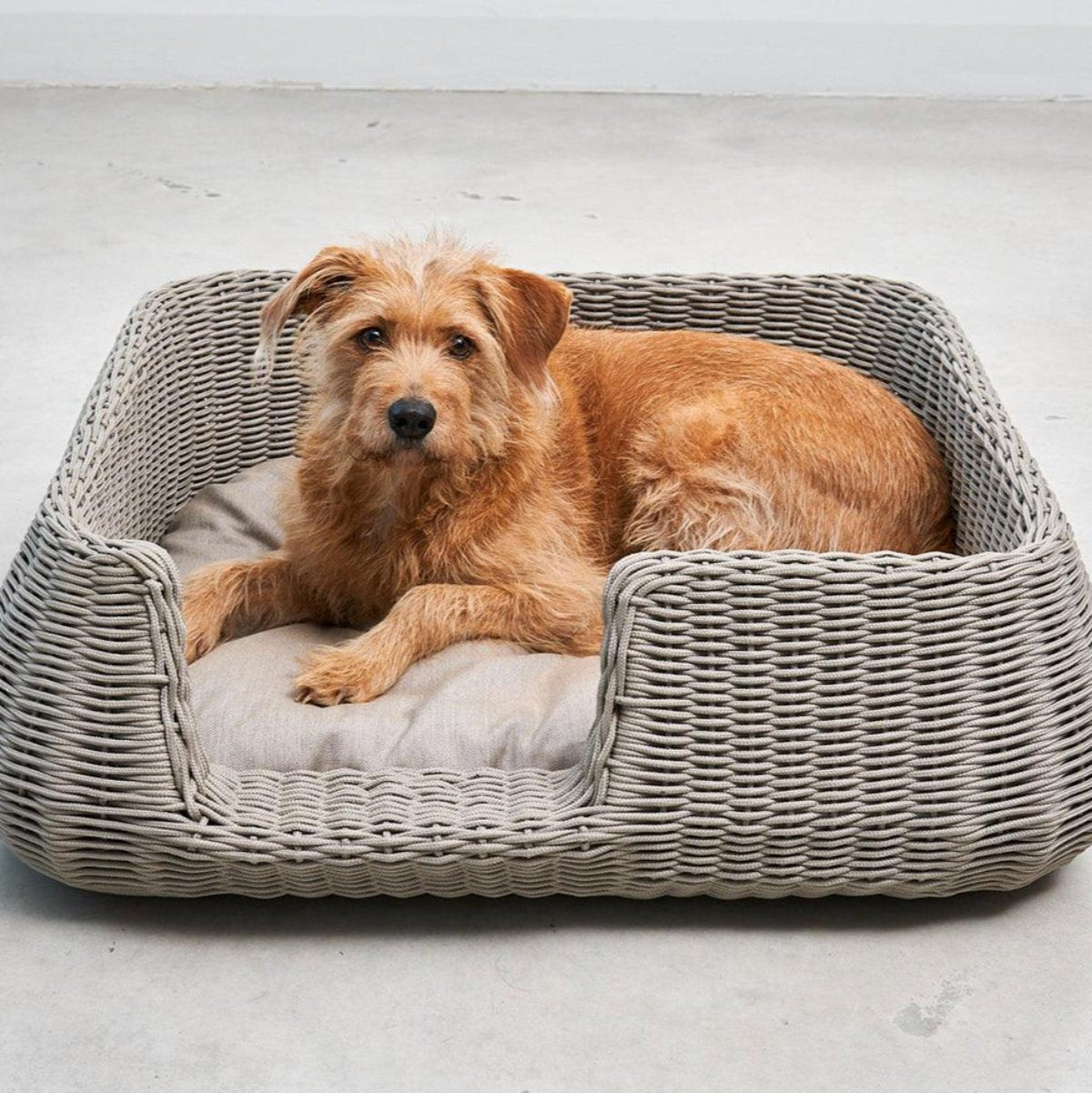 Housse imperméable de panier pour chien - MIO - Kasibe