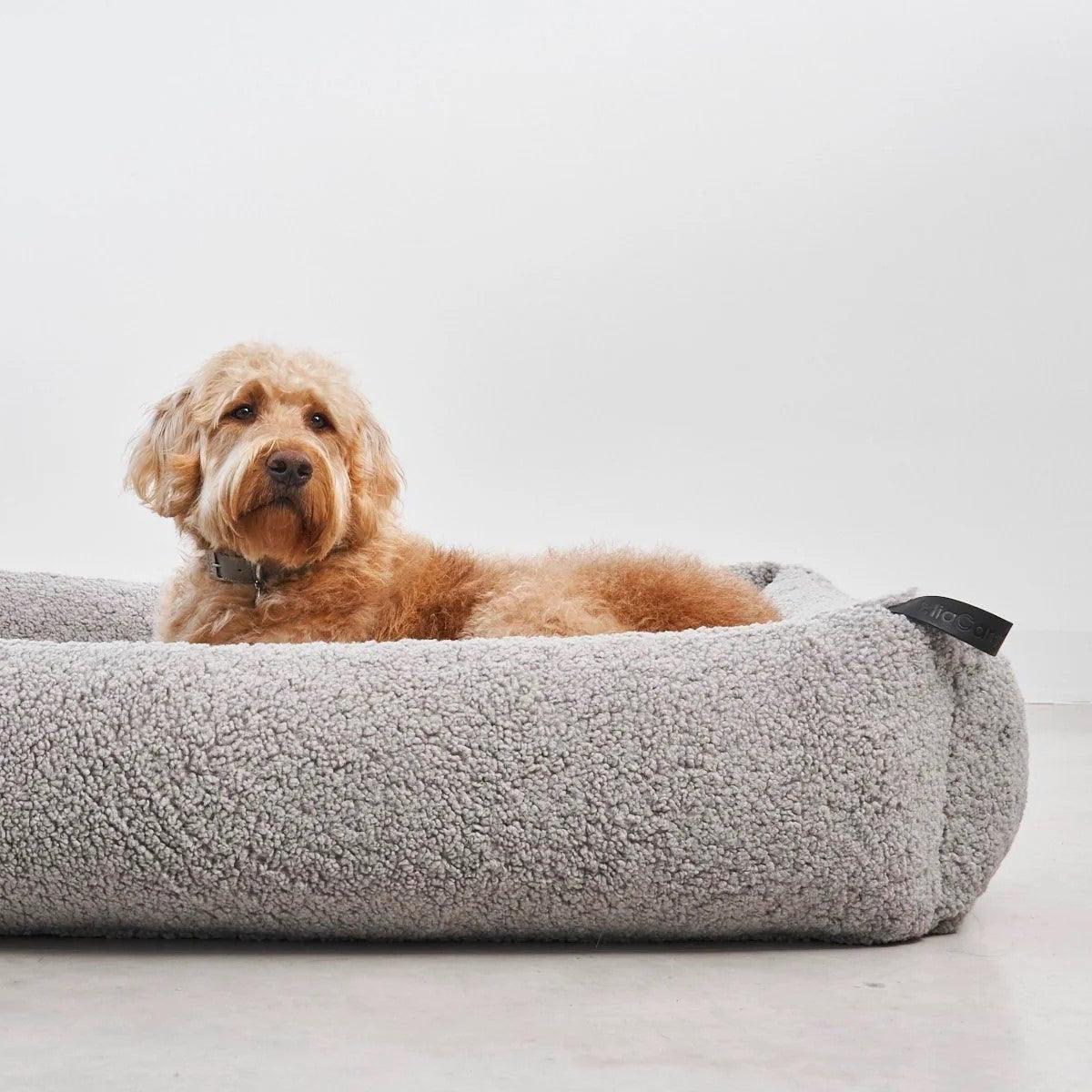 Housse rechange de panier pour chien - SENSO - Kasibe