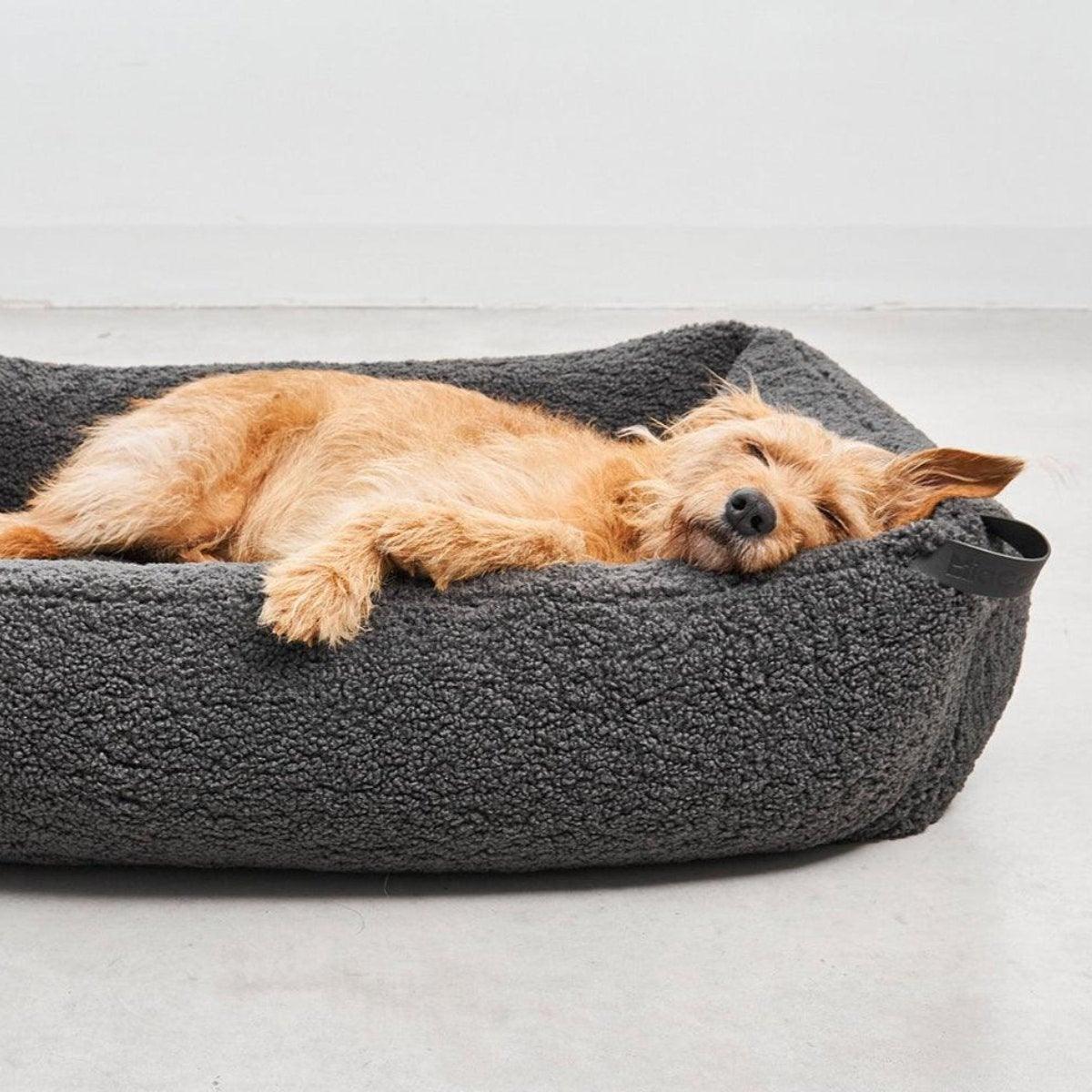 Housse rechange de panier pour chien - SENSO - Kasibe