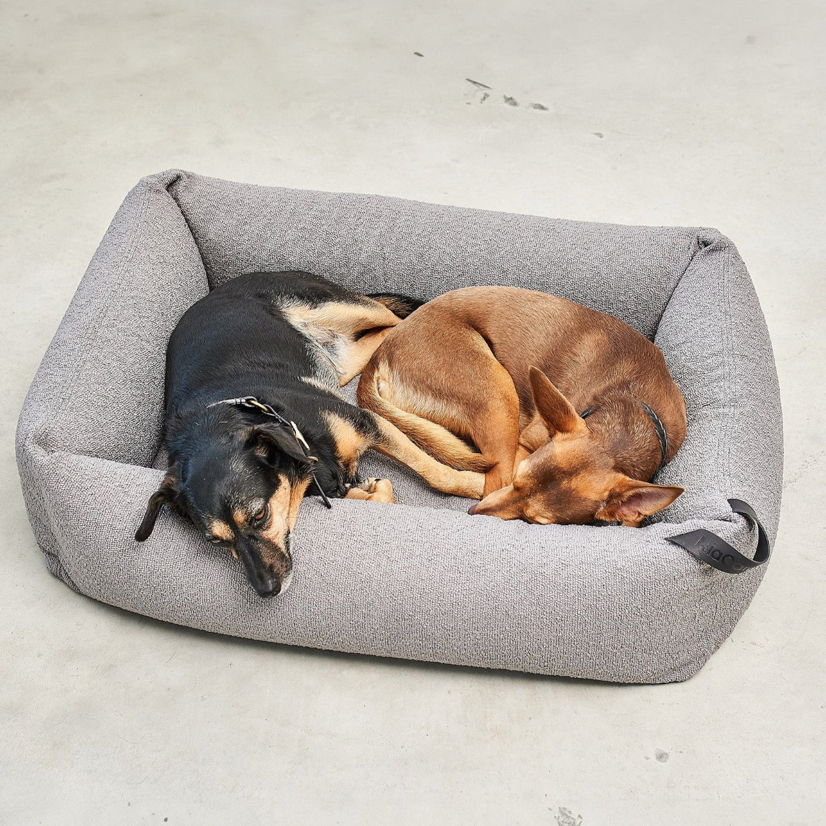 Housse de lit pour chien mondo miacara - kasibe