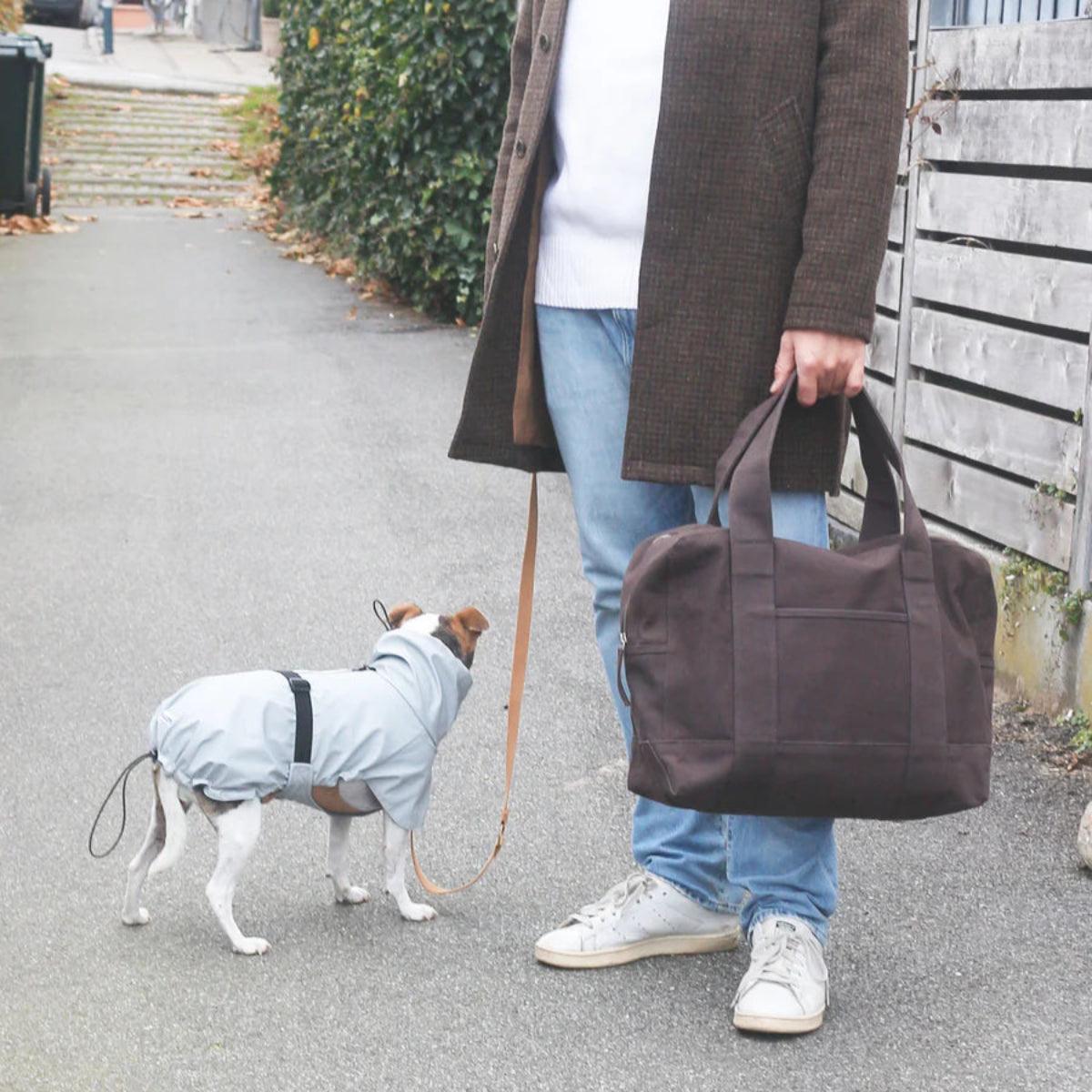 Imperméable pour chien gris - kasibe