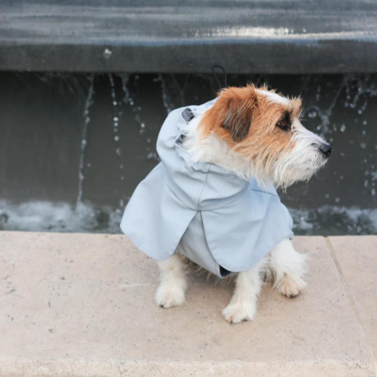 Imperméable pour chien gris - kasibe