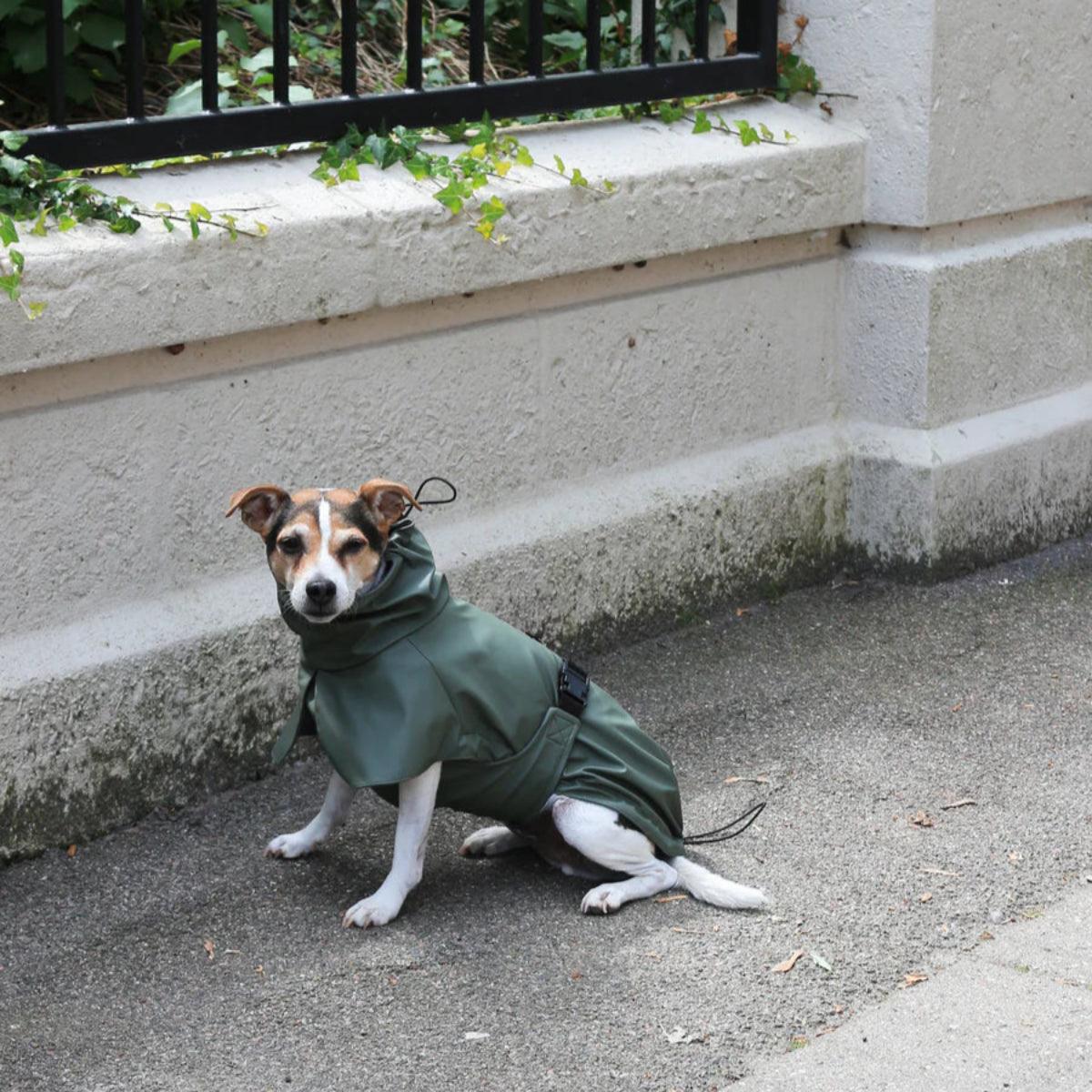 Imperméable pour chien vert - kasibe