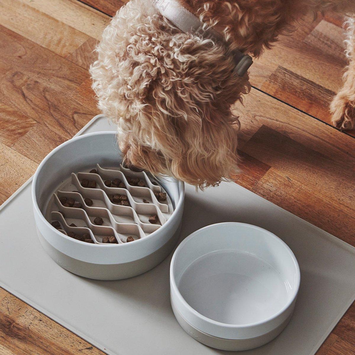 Insert anti-glouton pour chien - LENTE - Kasibe