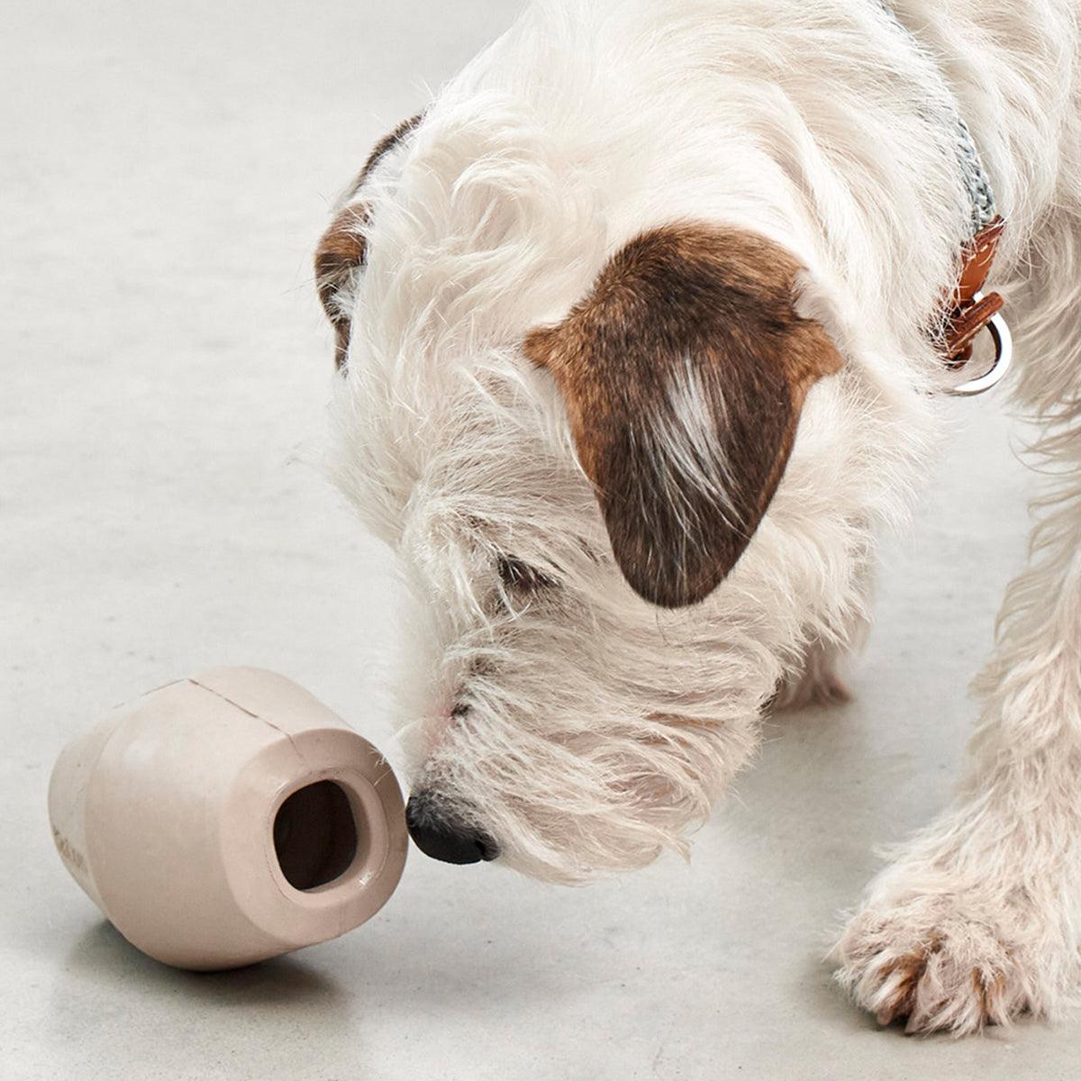 Jeu de stimulation pour chien - DADO et CONO - Kasibe