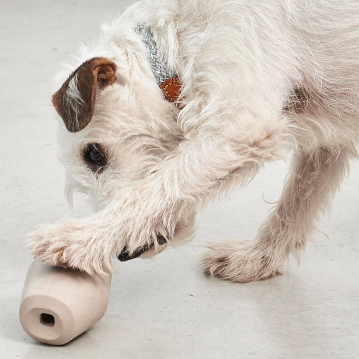 Jeu de stimulation pour chien - DADO et CONO - Kasibe
