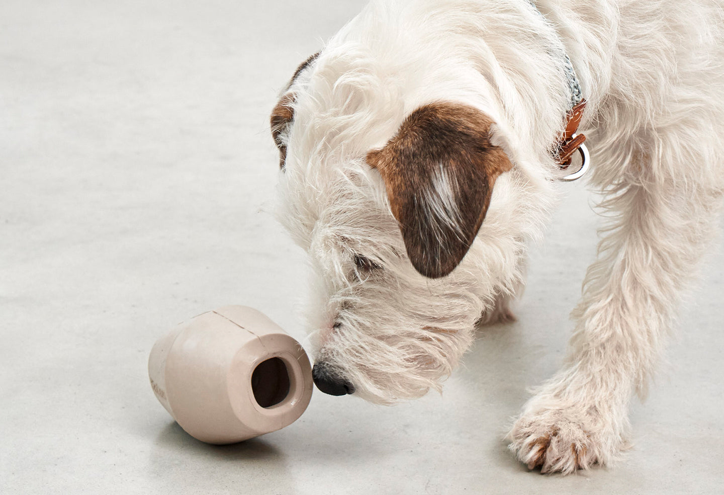 Jeu pour la stimulation de votre chien, une balle à friandises astucieuse cono - kasibe