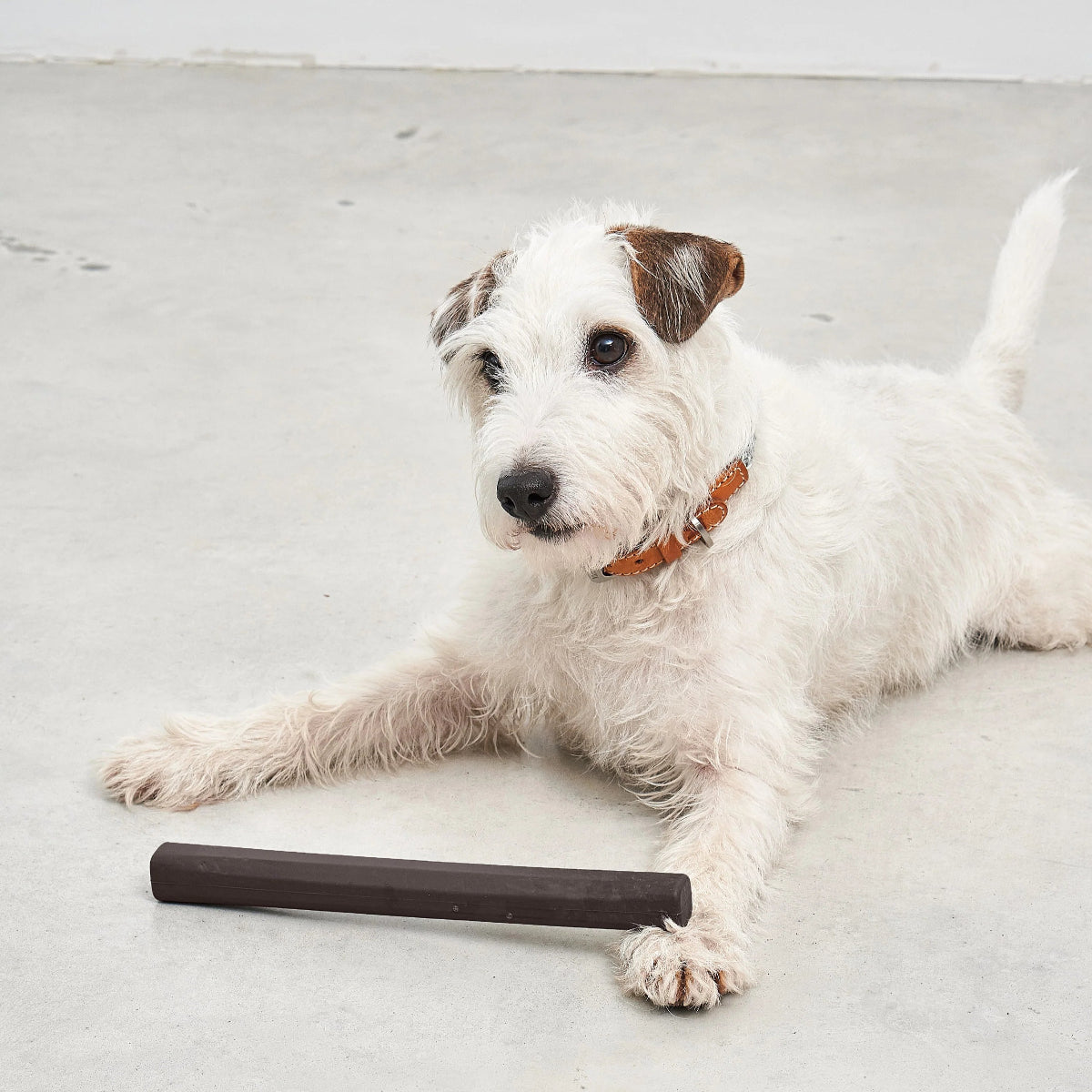 jouet chien baton chocolat - kasibe