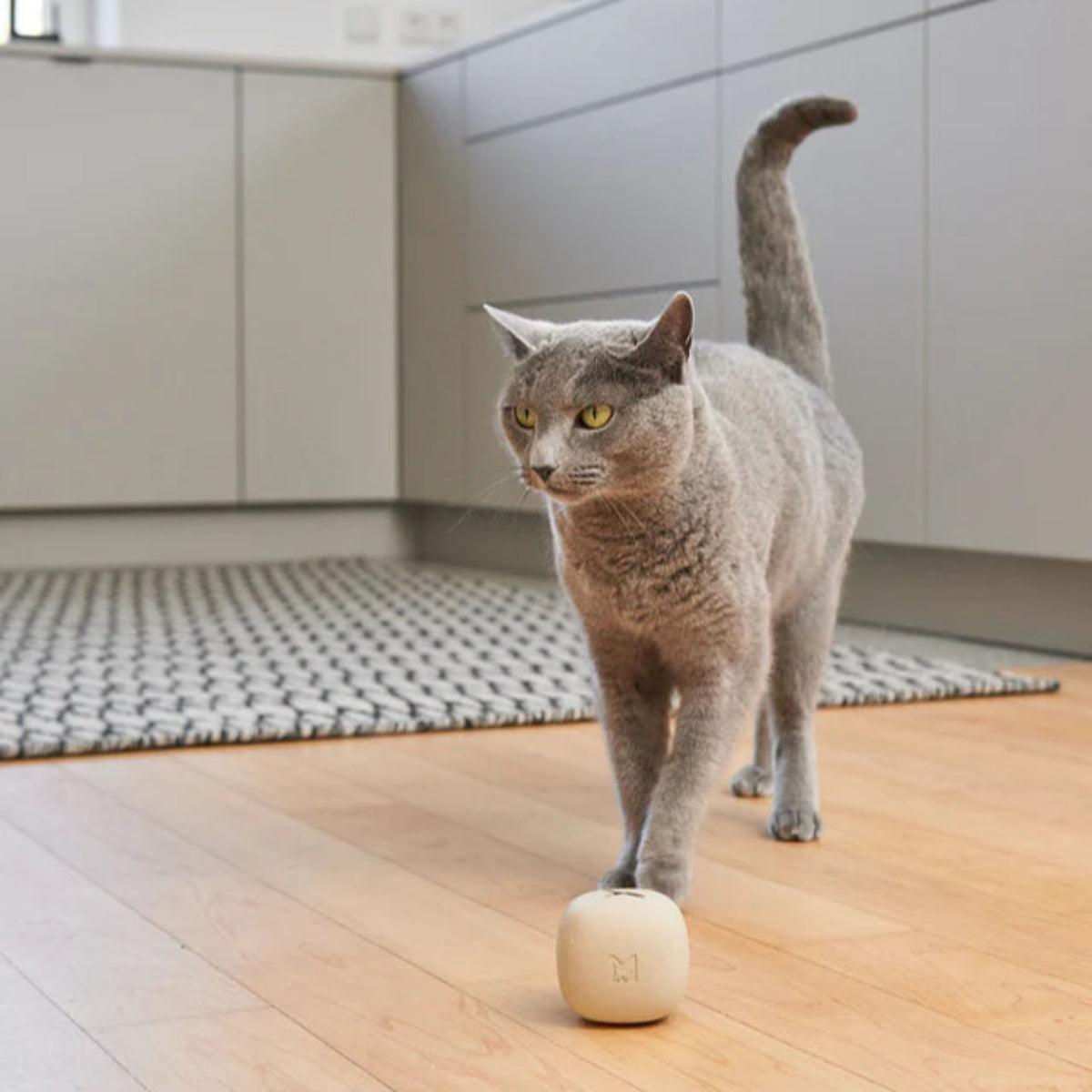 Jouet d'activité pour chat - ROTOLO - Kasibe