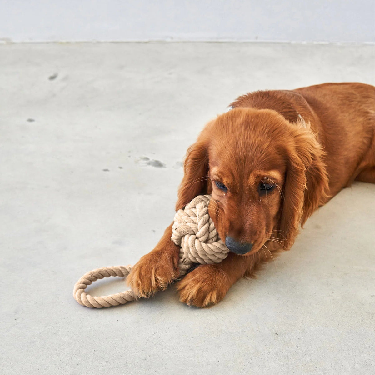 jouet en corde de coton - kasibe