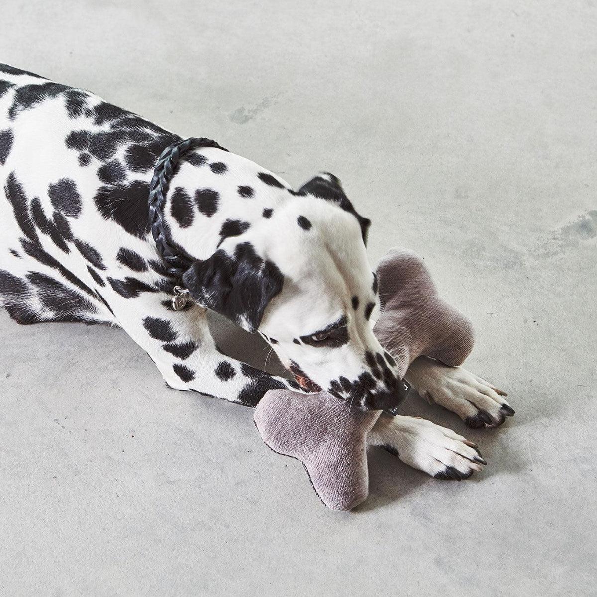 Jouet pour chien en forme d'os (lot de 2) - Kasibe