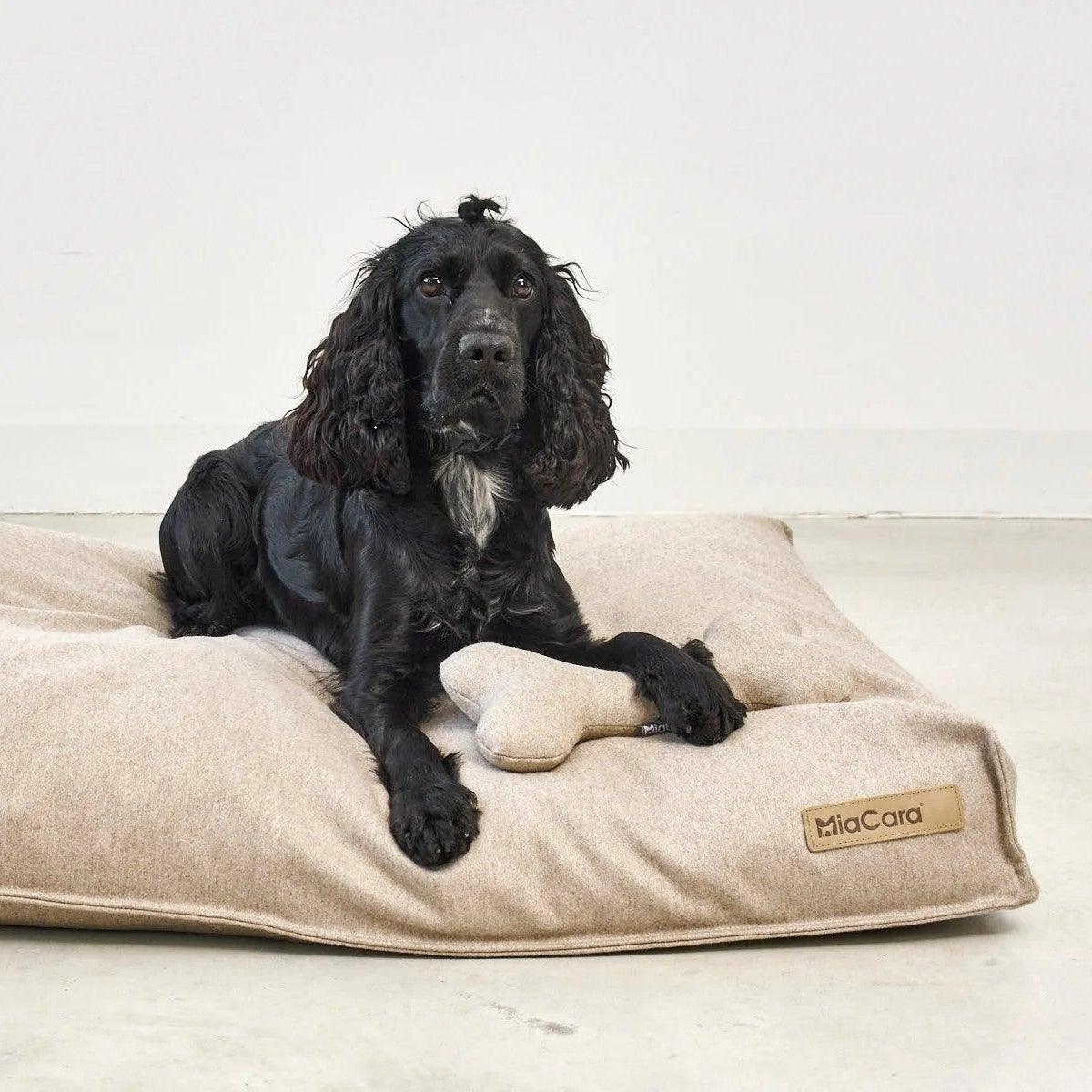 Jouet pour chien en forme d'os (lot de 2) - Kasibe