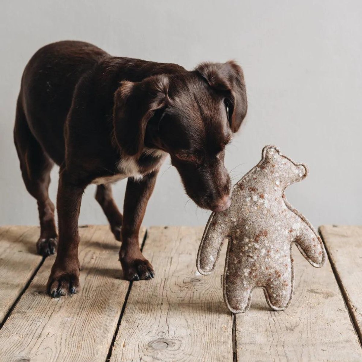 Jouet pour chien en mélange de laine - LANE - Kasibe