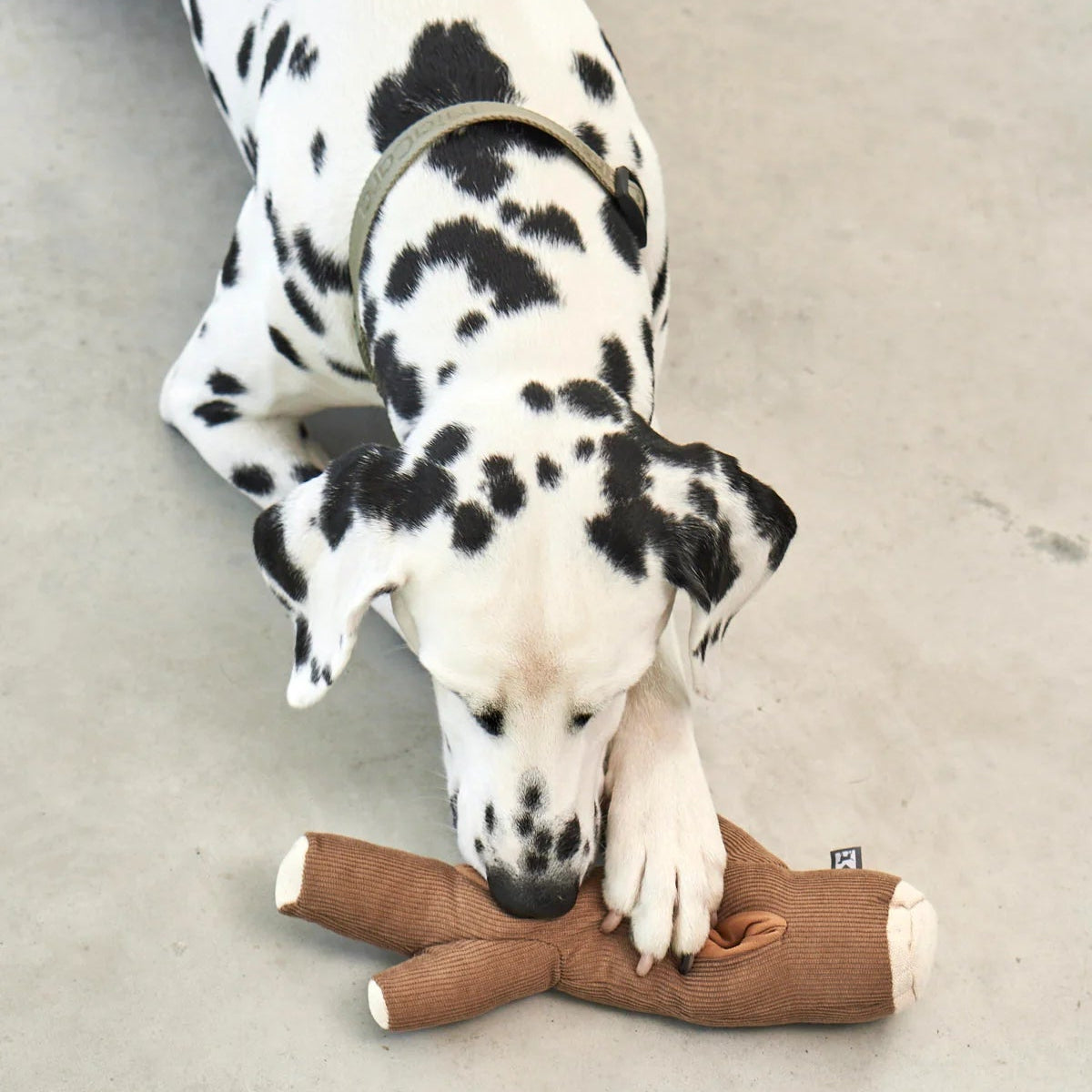 jouet à renifler pour chien en forme de branche - kasibe