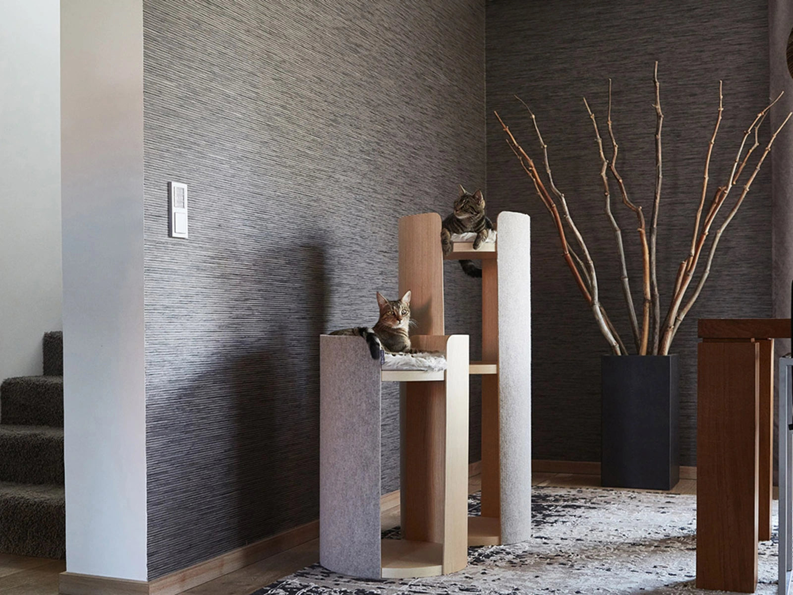 arbre ) chat design - kasibe