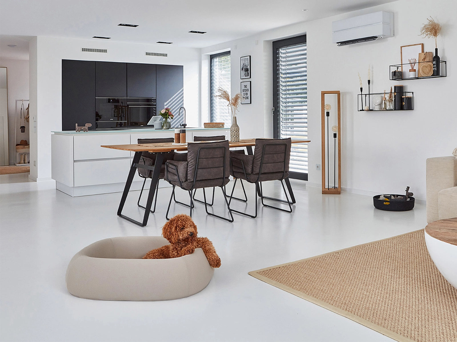 panier chien design - kasibe