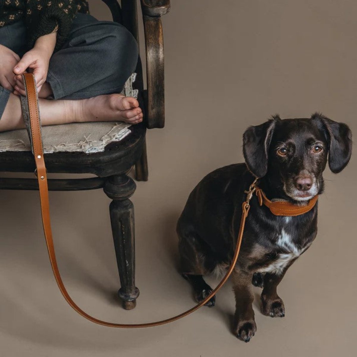 Laisse courte pour chien en cuir - HITCH - Kasibe