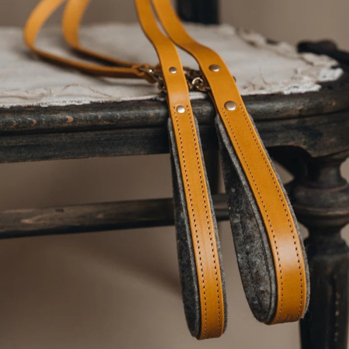 Laisse courte pour chien en cuir - HITCH - Kasibe